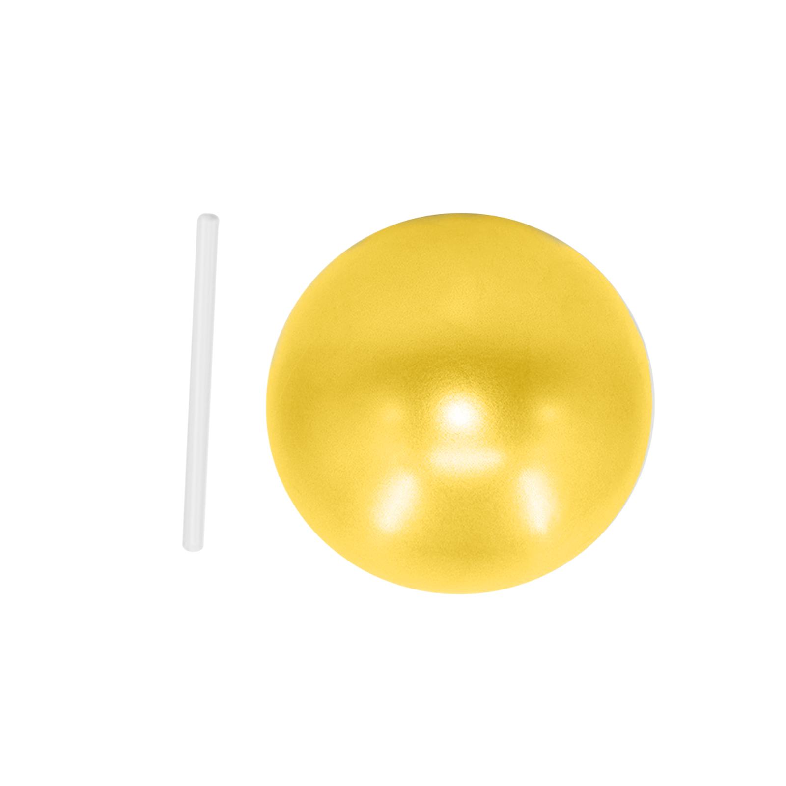Fitnessbal Kleine PVC Oefenbal - Exercise Ball Stability recensie en prijs